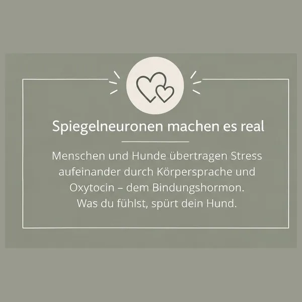 neuronen