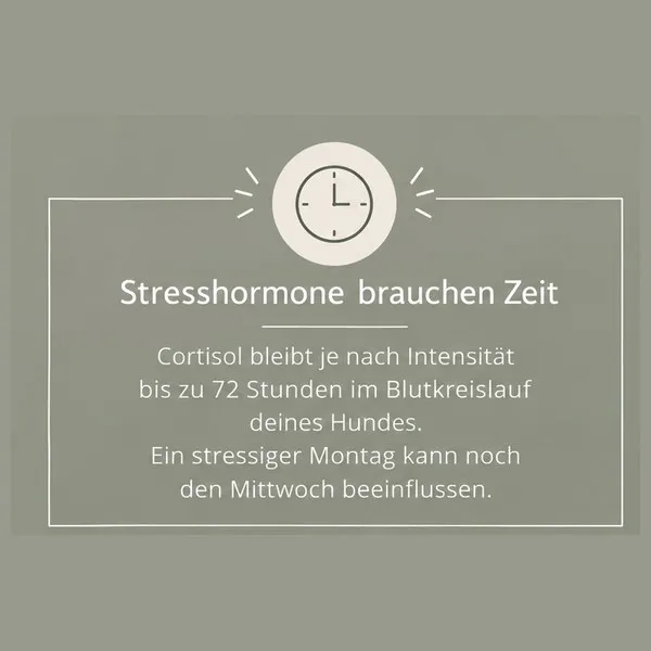 neuronen